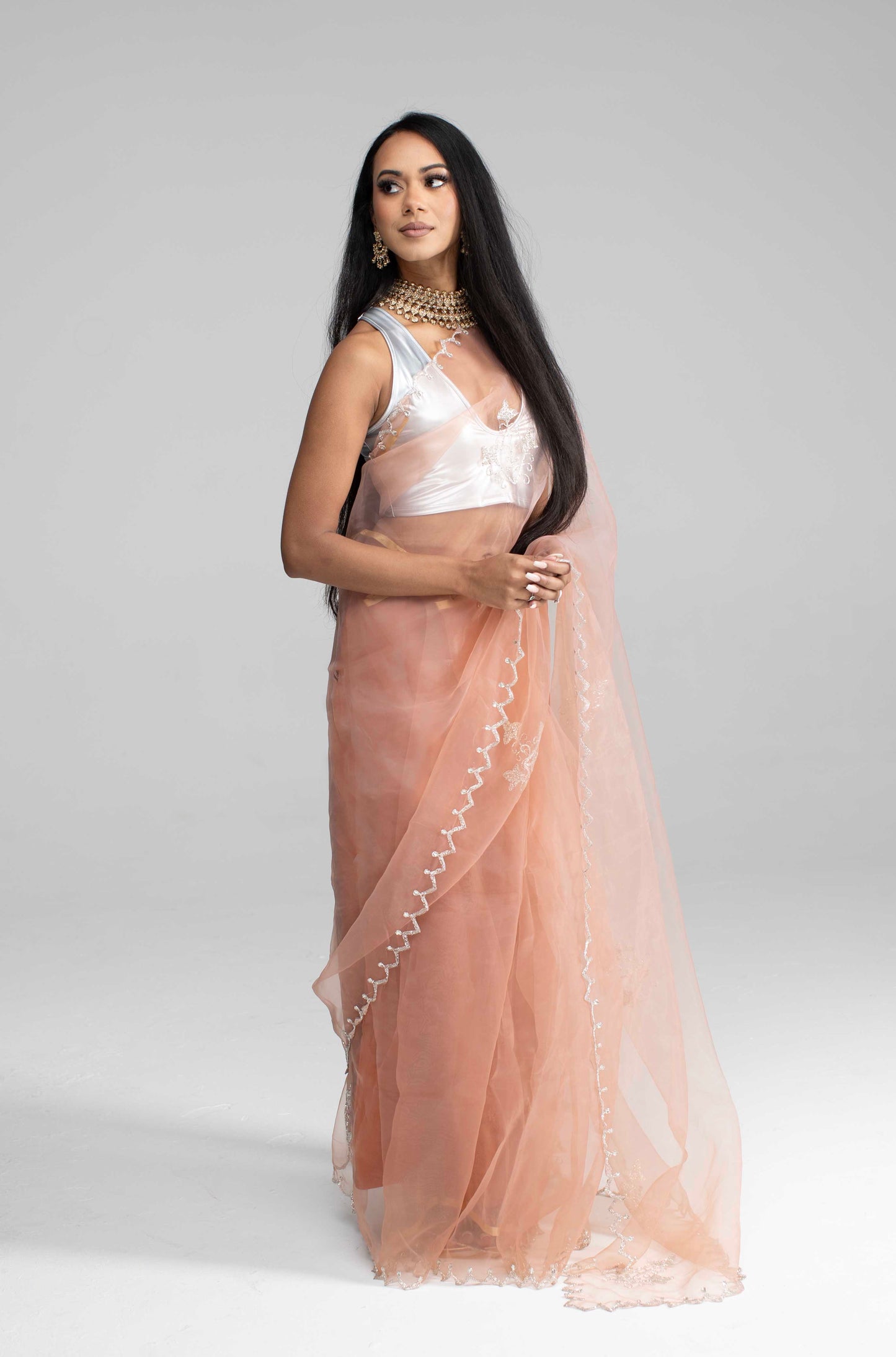 Champagne-Coloured Organza Saree
