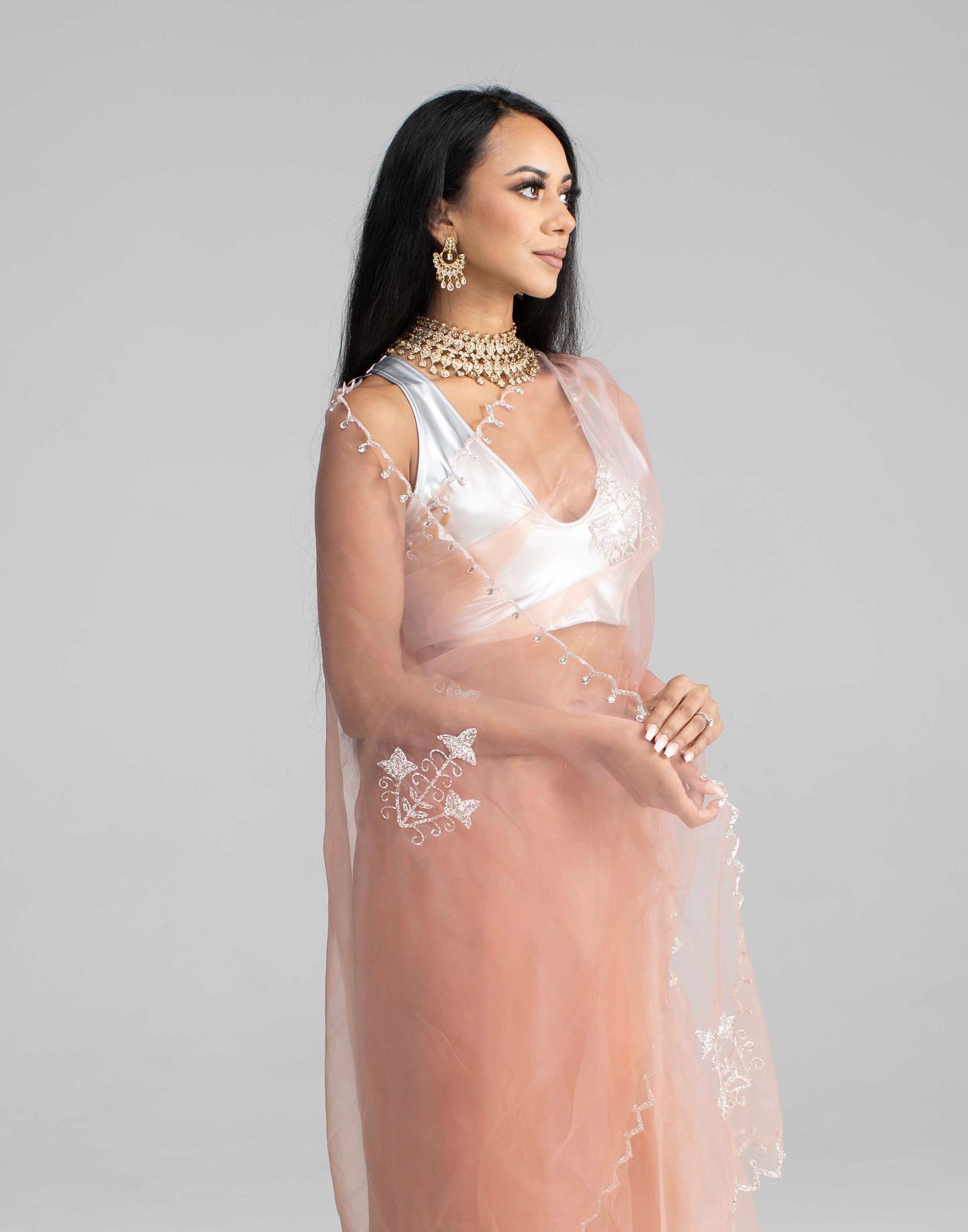 Champagne-Coloured Organza Saree