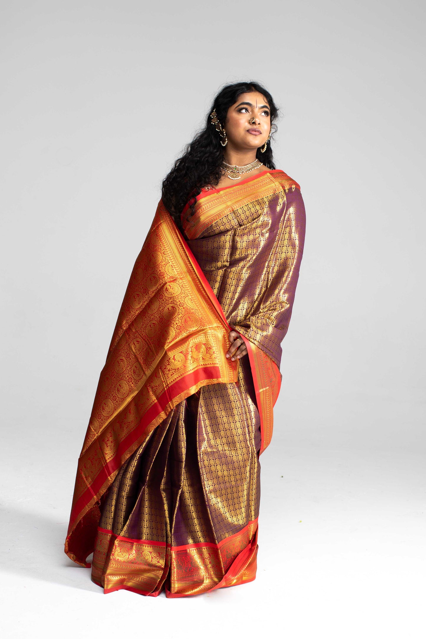 Luxurious Coffee Brown Saree with Full Golden Body & Red Border