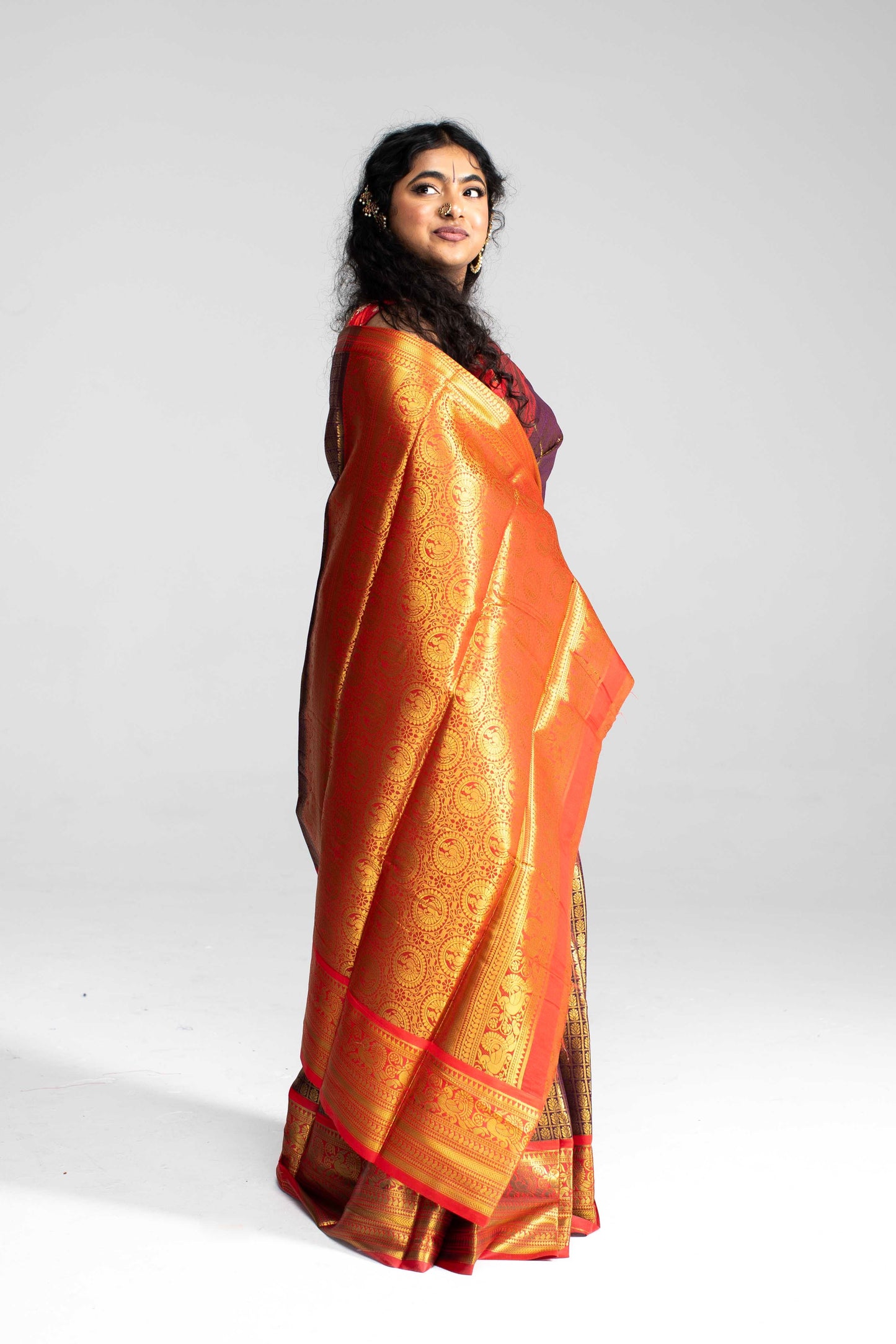 Luxurious Coffee Brown Saree with Full Golden Body & Red Border