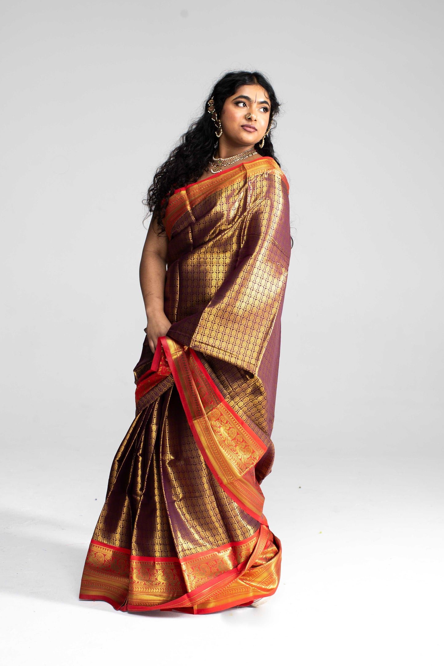 Luxurious Coffee Brown Saree with Full Golden Body & Red Border