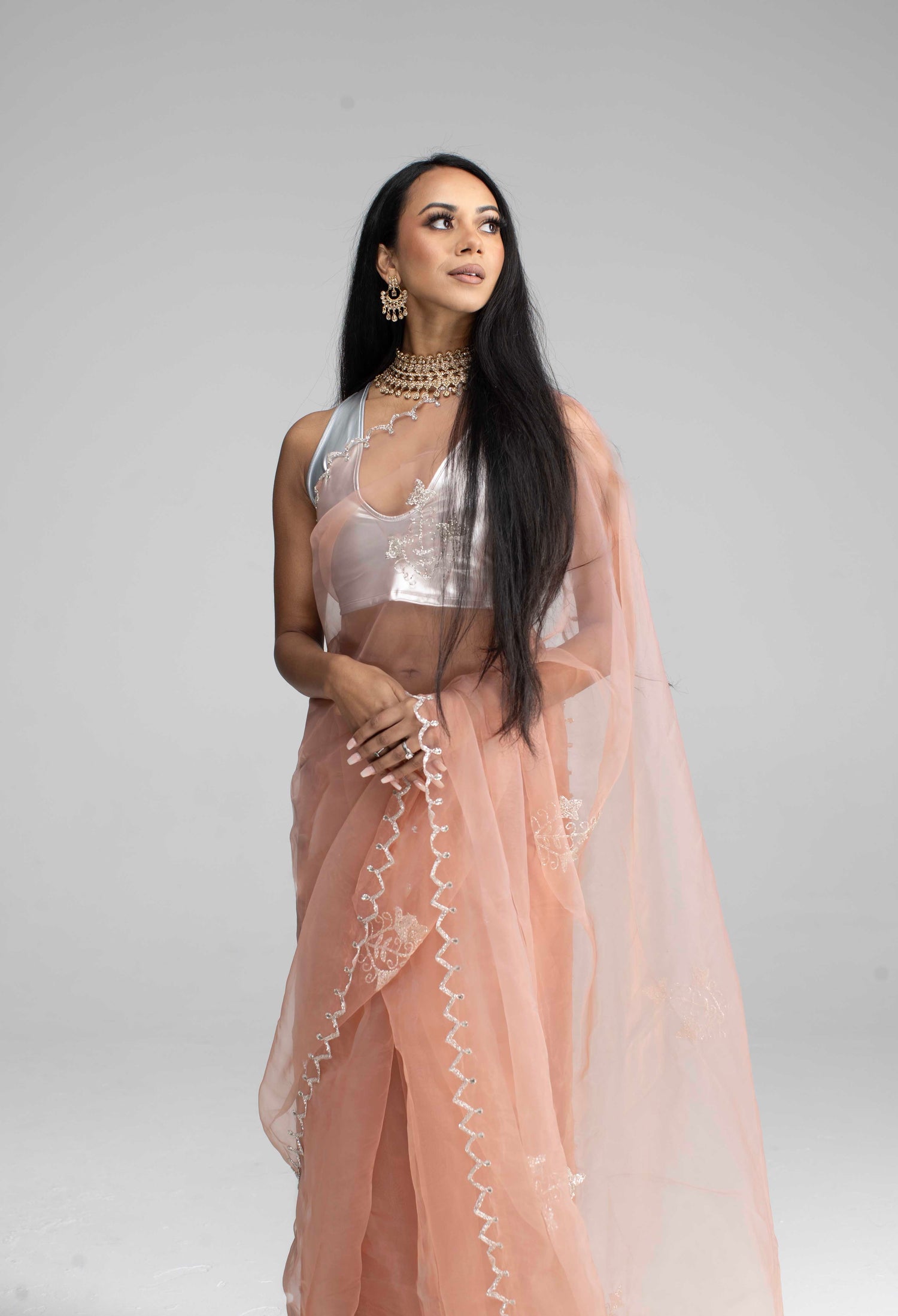Organza Sarees