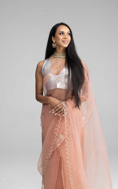 Champagne-Coloured Organza Saree