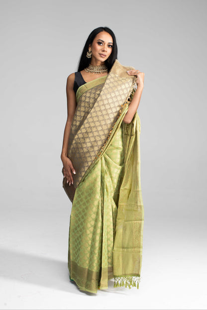 Olive Green Silk Saree Adorned in All-Over Gold Work